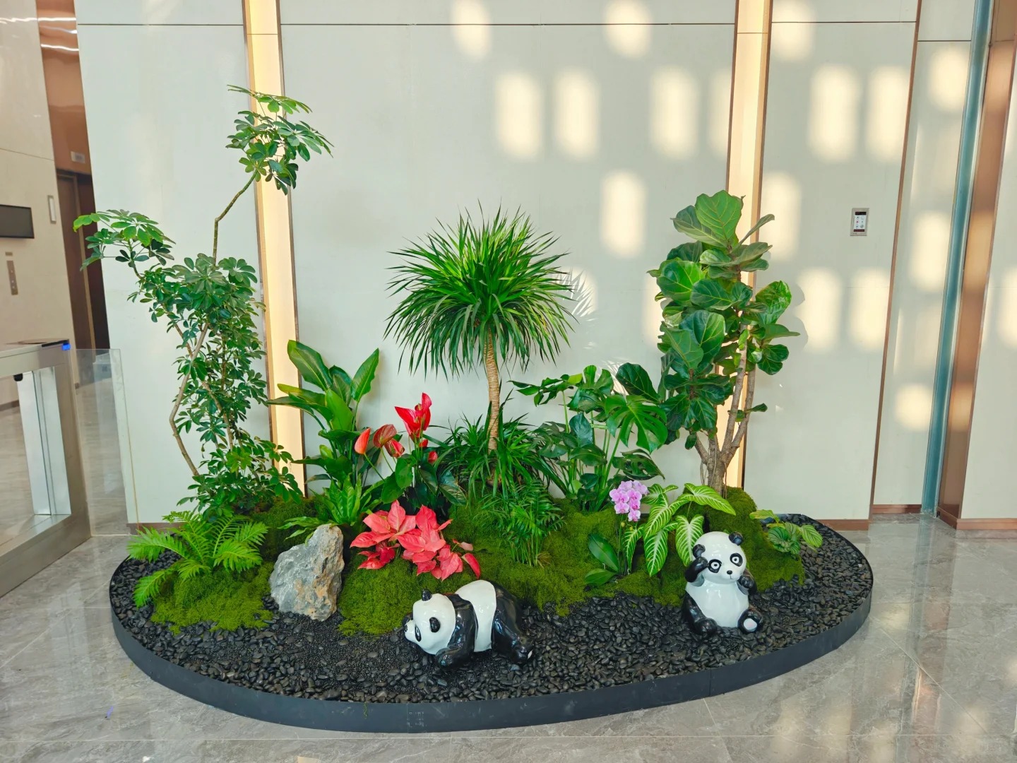 专业的鄞州盆景租摆,点亮空间新光彩!